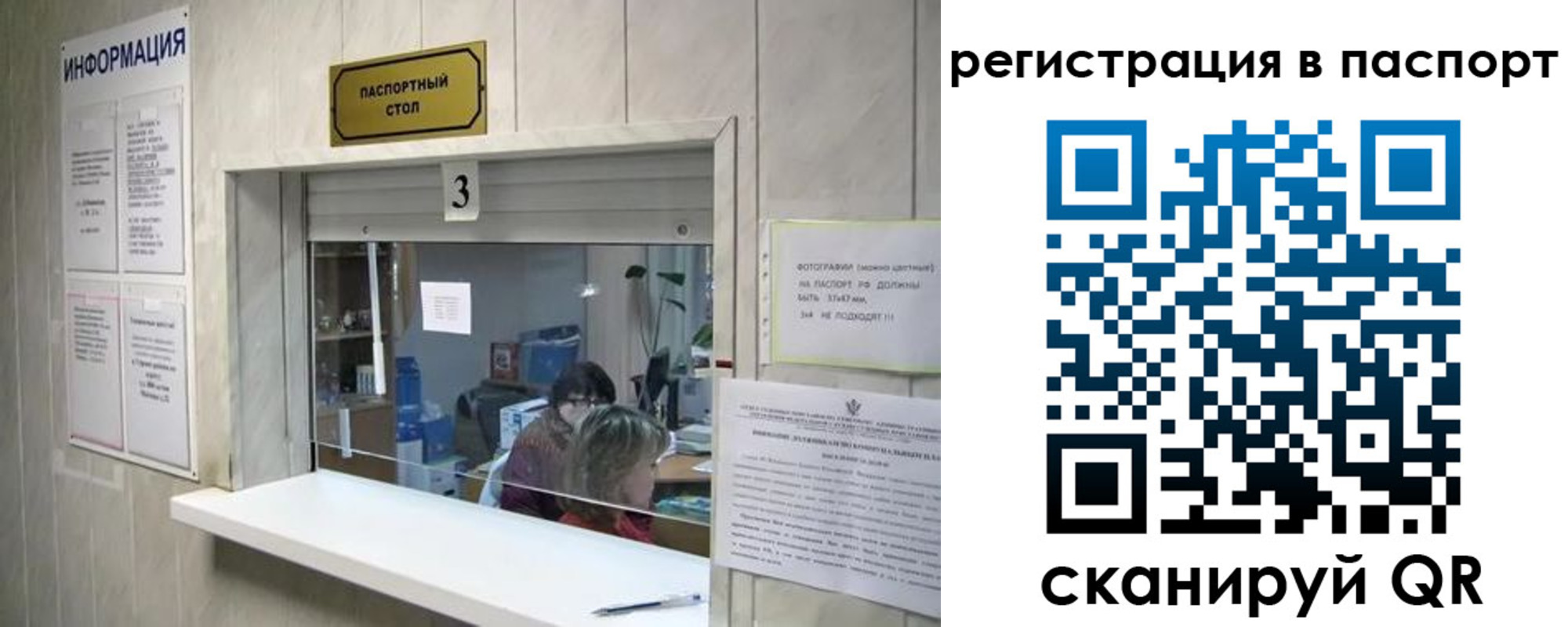 прописка поиск в Нововоронеже